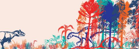 Affiche : Défi Dino Dessins, Muséum d'histoire naturelle de Marseille, 29 sept.