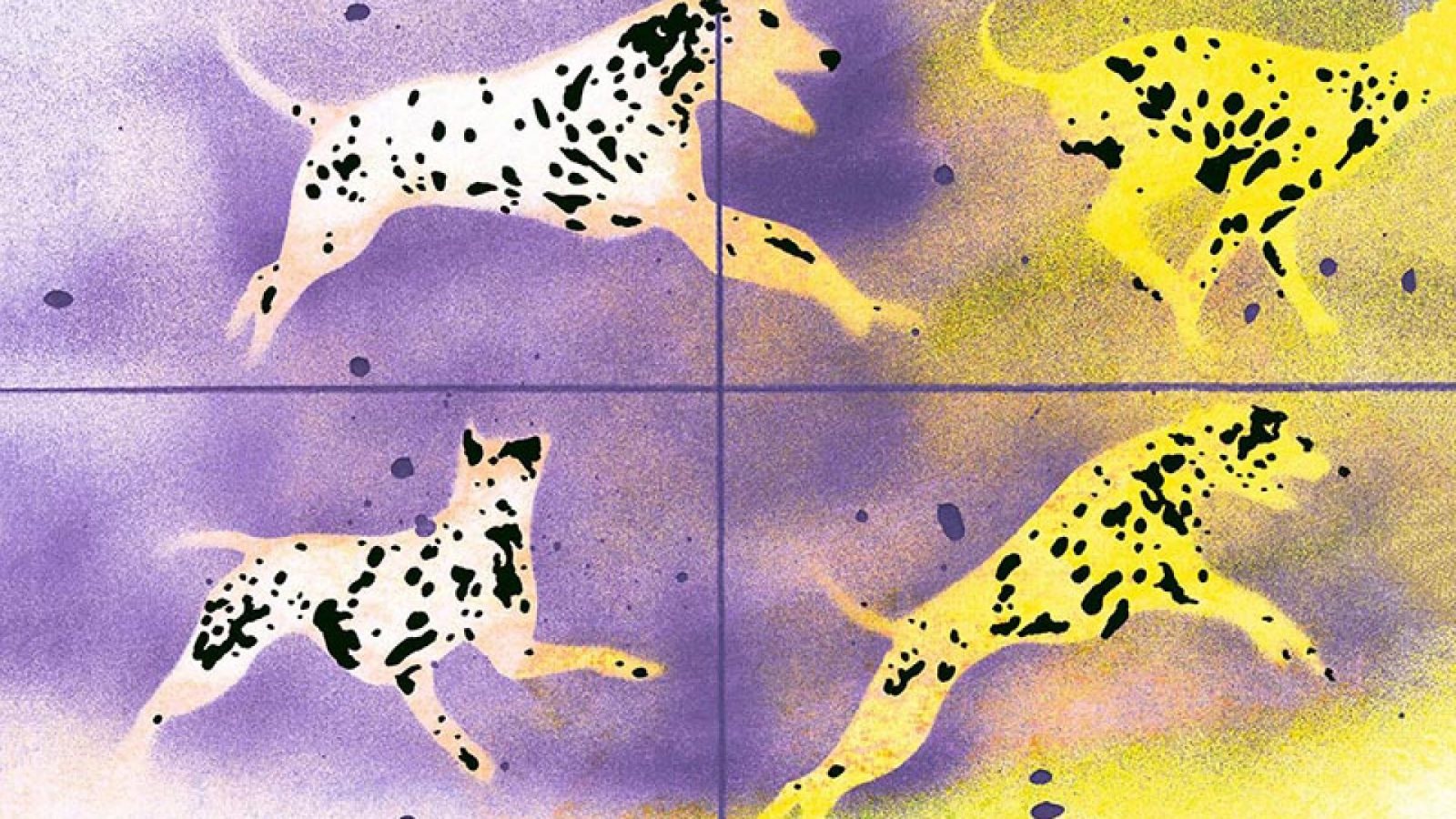 Affiche : Excédé·e, la case