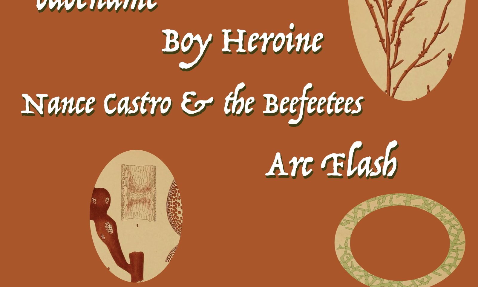 Poster: babename, Boy Heroine, Nance Castro & the Beefeetees, Arc Flash