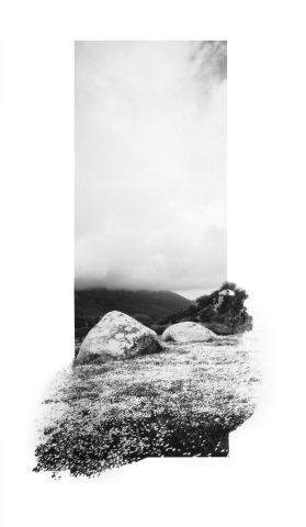 Affiche : Exposition de Dana Cojbuc - GALERIE PUTMAN, Galerie putman, 7 nov.