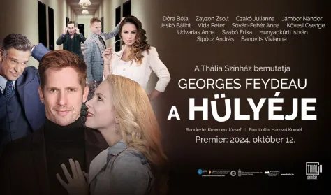 Poster: A hülyéje