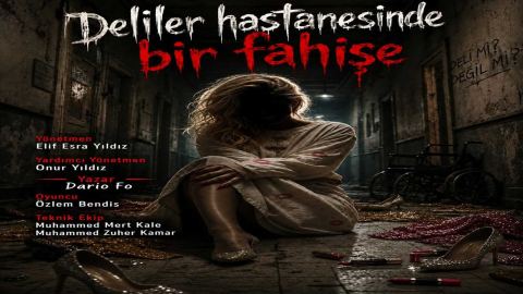 Afiş: Bir Fahişenin Akıl Hastanesindeki Günlüğü, Bakırköy Butik Sahne, 29 Eki