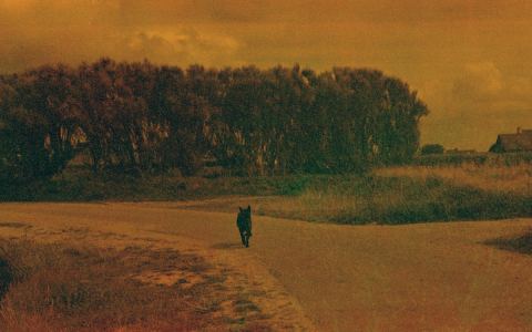 Affiche : Nanténé Traoré — pays des merveilles, Maison européenne de la photographie, 30 sept.