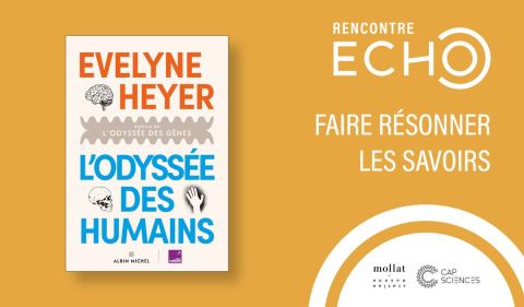 Poster: Rencontre ECHO avec Evelyne Heyer le 10 novembre 2026, Station Ausone, Nov 10