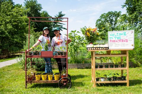 Poster: Farm Open Hours, Queens Botanical Garden, Oct 29