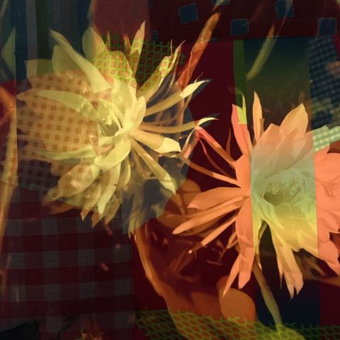 Poster: Inhabiting Place: Work by Anna Evans, Coulter Fussell, & Julia Gabriel Weber Exhibition, Russell Hill Rogers Galleries, Oct 24