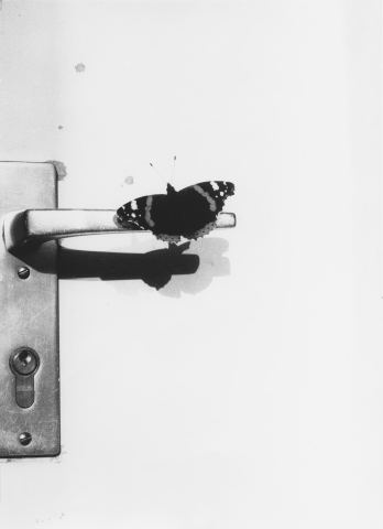 Plakat: Jochen Lempert: Flora Incognita, Kunsthal Charlottenborg, 26. sep.