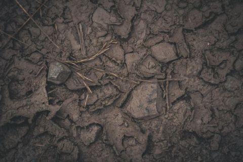 Affiche : Atelier de découverte de la nature : sous la surface, Les Jardins du Muséum à Borderouge, 1 nov.