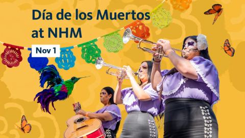 Poster: Día de los Muertos Celebration, Natural History Museum of Los Angeles County, Nov 1