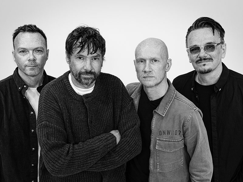 Poster: The Pineapple Thief
