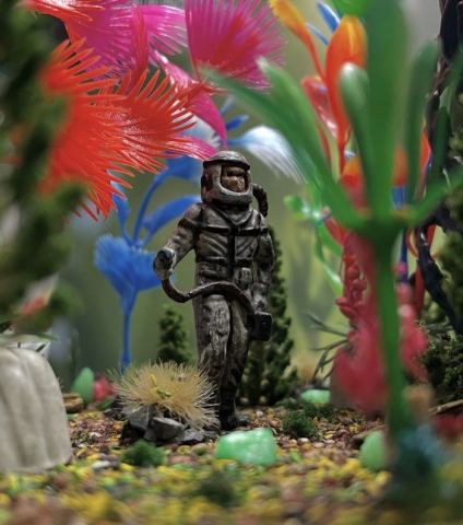 Affiche : Exposition Space Oddity : Pierre-Charles Jacquemin, Bfm Centre-ville - Jardin d'hiver, 1 oct.