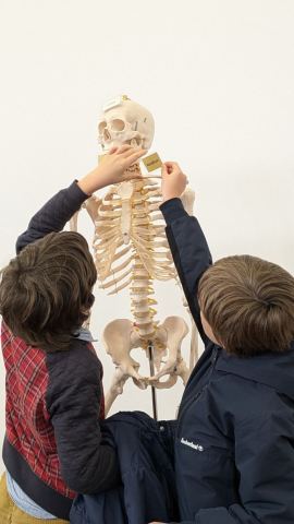 Affiche : Atelier faire parler les morts, l’archéo-anthropologie, Le Chronographe, 30 oct.