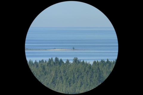Juliste: Salla Myllylä ja Sari Palosaari: Chim, MUU Helsinki Nykytaidekeskus, 17.10.