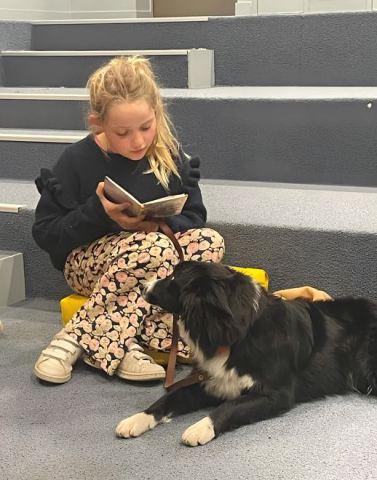 Affiche : Viens lire avec un chien !, Bibliothèque Amélie-Bosquet, 7 nov.