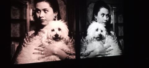 Affiche : Screening Experience, Le Fresnoy - Studio national des arts contemporains, 17 nov.