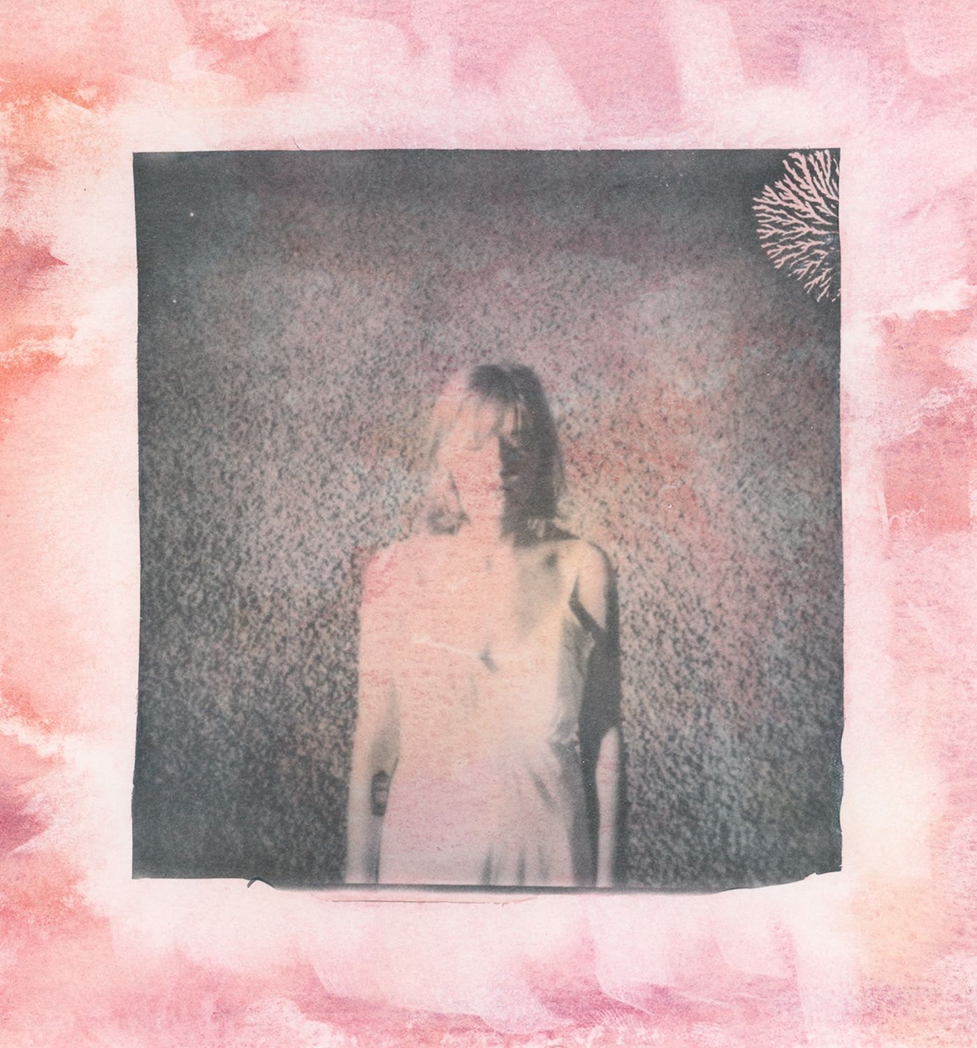Poster: WORKSHOP—Polaroid Transfers