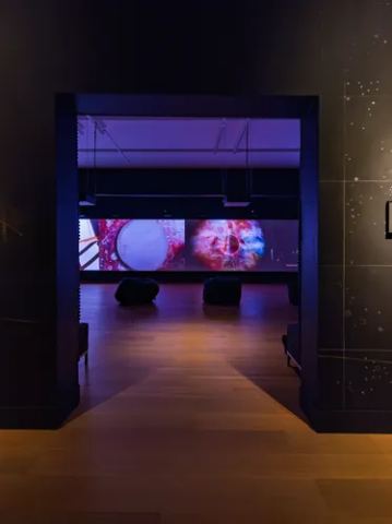 Poster: Rohini Devasher: Solar Poetics, Bruce Museum, Aug 22