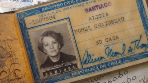 Cartel: Alicia bajo la higuera, Sala de cine, 28 oct