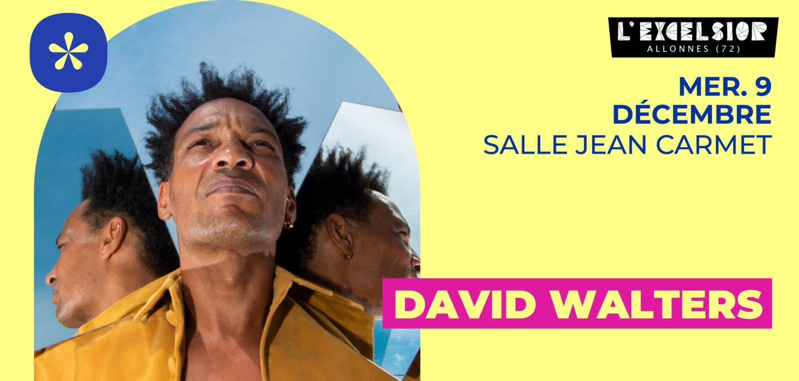 Affiche : DAVID WALTERS