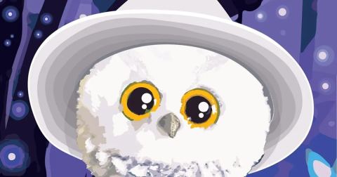 Affiche : Hibou Chouchou, Les Ateliers des Capucins, 28 oct.
