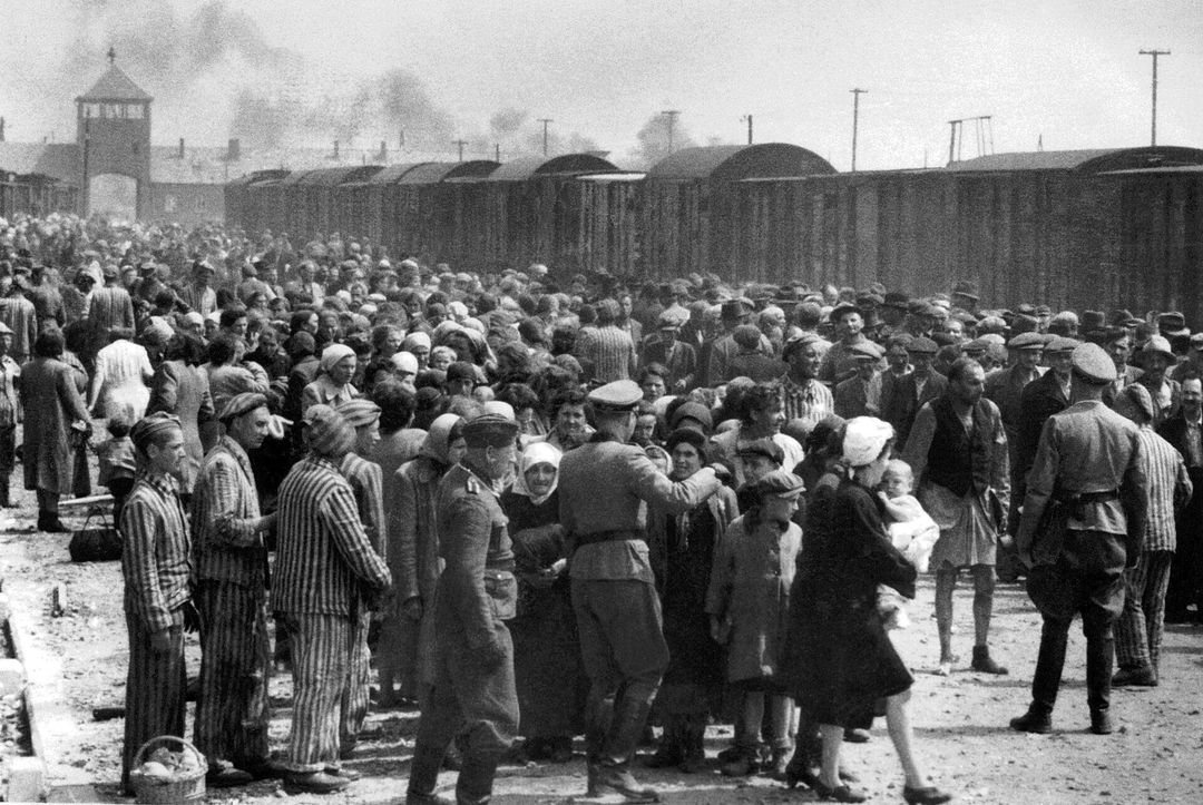Poster: Auschwitz. l'image comme source