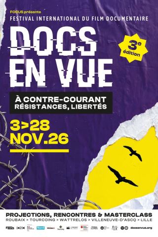 Affiche : Docs en Vue - Festival international du film documentaire, Palais des Beaux-Arts de Lille, 3 nov.