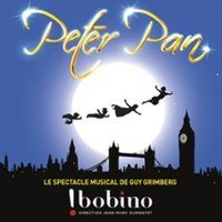 Affiche : Peter Pan, le Spectacle Musical