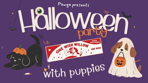 Poster: Pawga's Halloween party w. Puppies, Surkhi Cafe, Oct 31