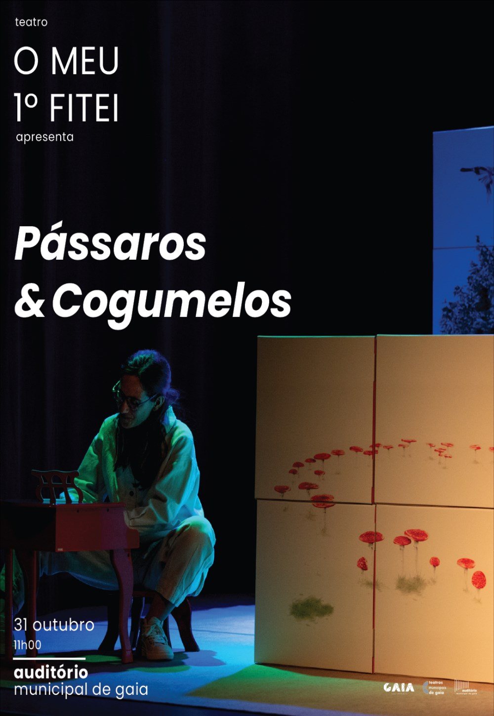 Cartaz: Fitei | Pássaros e Cogumelos