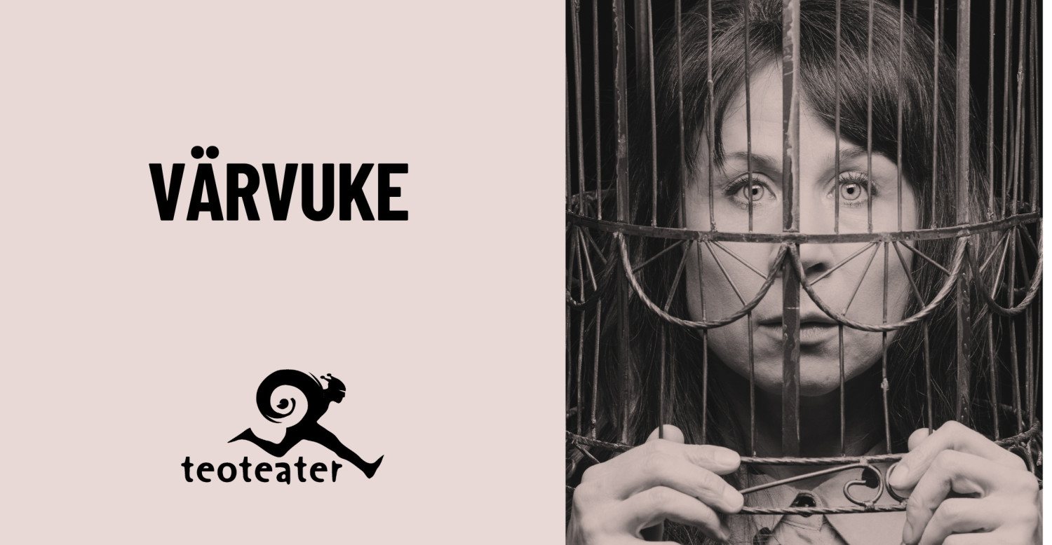 Poster: Teoteater: Värvuke