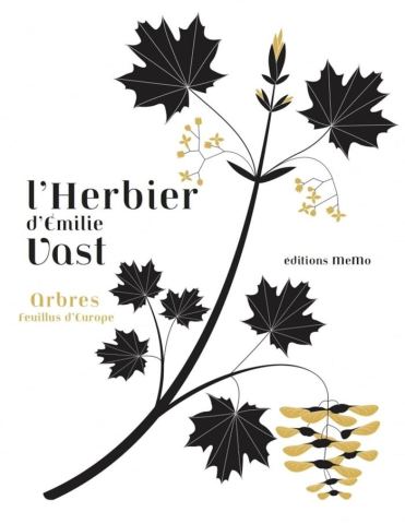 Affiche : Les herbiers d'Émilie Vast, Bibliothèque Pont des Demoiselles, 17 sept.