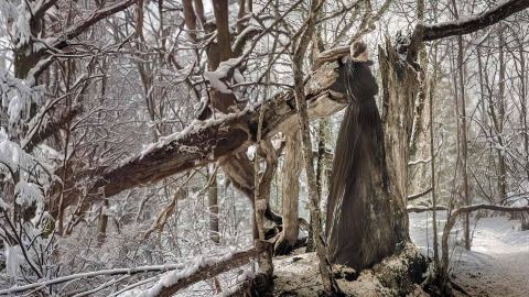 Juliste: Entanglement: I am a tree, I am a mouth, Kiasma-teatteri, 24.10.