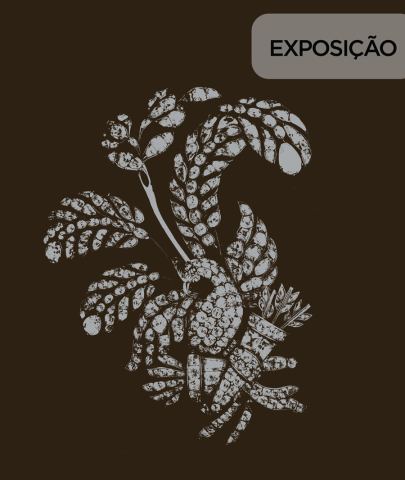 Cartaz: Coleção IFC: Matéria de Sonhos, Museu Nacional Soares dos Reis, 30/07