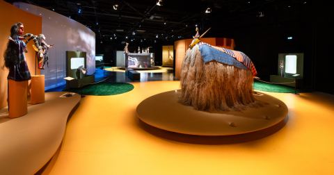 Affiche : Au Mali, quand les animaux dansent, Musée des Confluences, 3 avr.