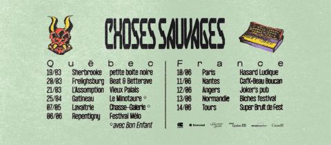 Choses Sauvages