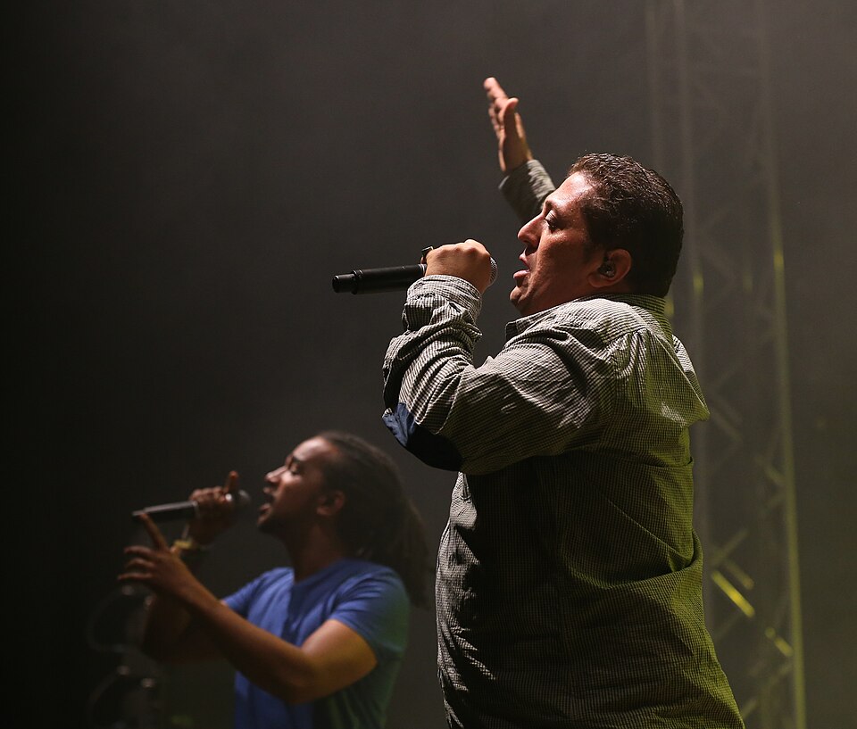 Dub inc