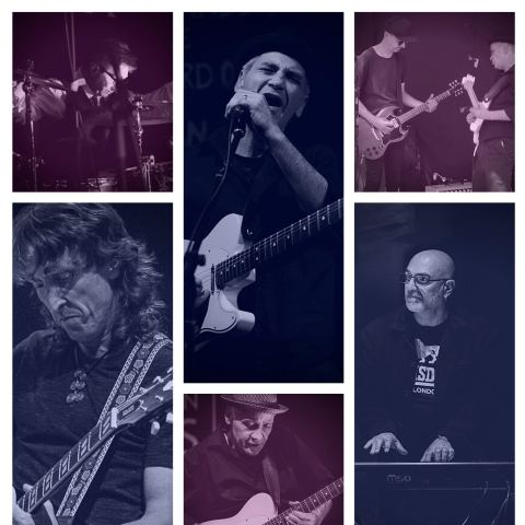 Frankie & The Bad Cats