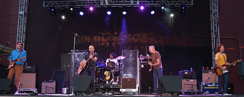 Gin Blossoms